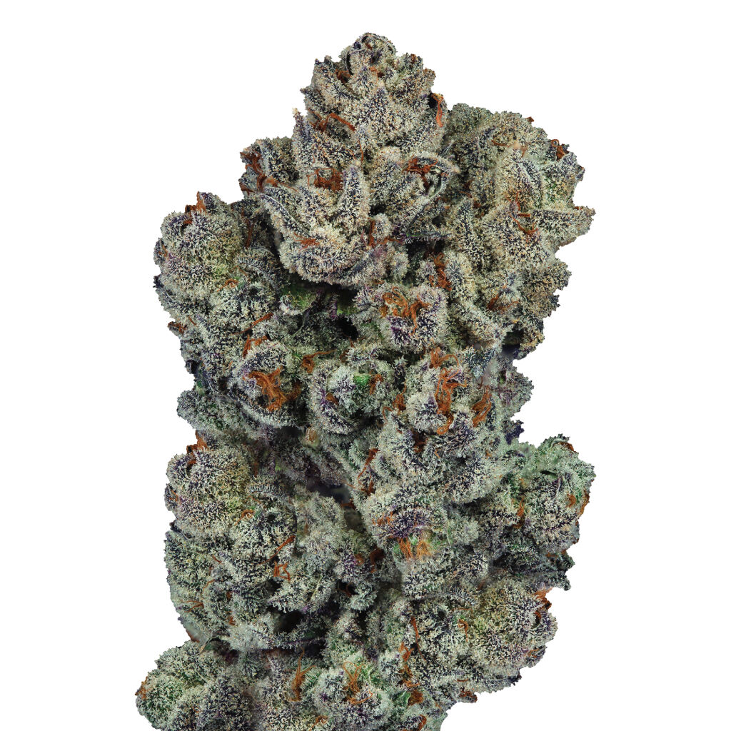C.R.E.A.M Cake Cannabis Review: Unique Hybrid Strain by Ghost Drops